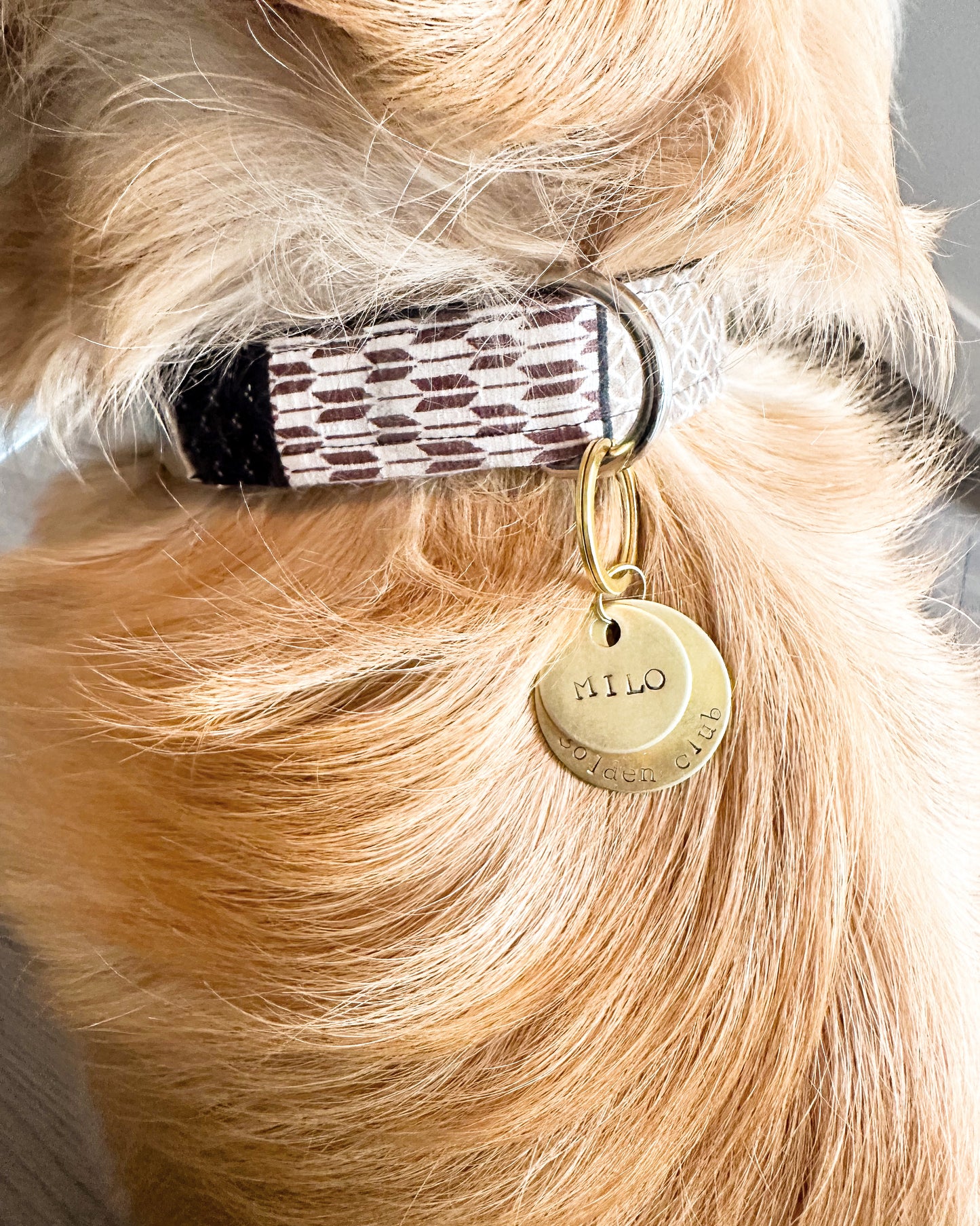 The Hanabi Collection: Dog Collars