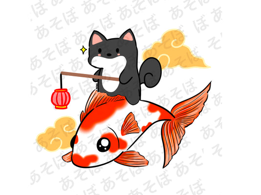 Shiba Koi